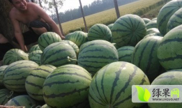 吃瓜最新事件爆料枣庄,揭秘吃瓜群众热议的最新事件内幕